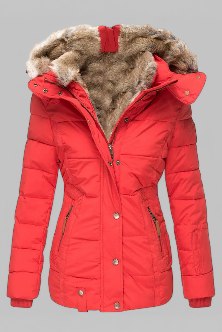 Chaqueta Aventura Ártica Con Forro Piel Sintética Divertida